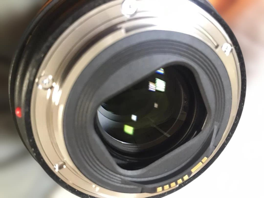 EOS 6D Mark II ＋ EF24-105mm F4L II（保証書有）