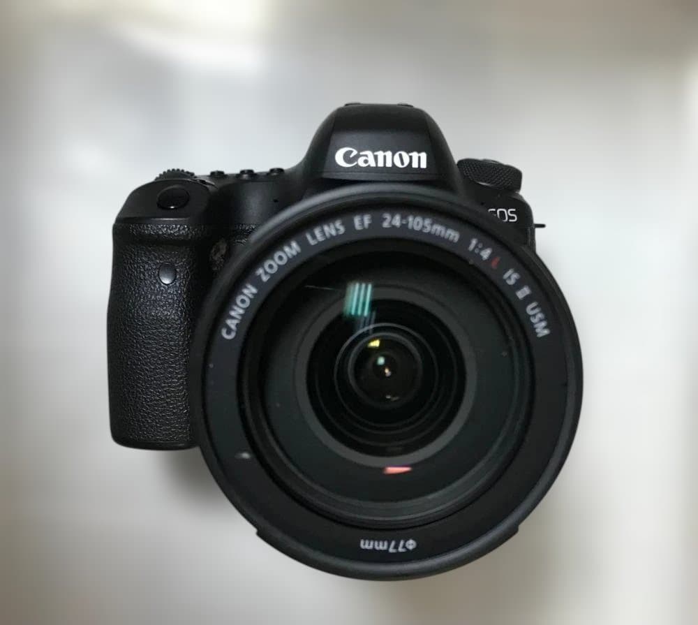 EOS 6D Mark II ＋ EF24-105mm F4L II（保証書有）