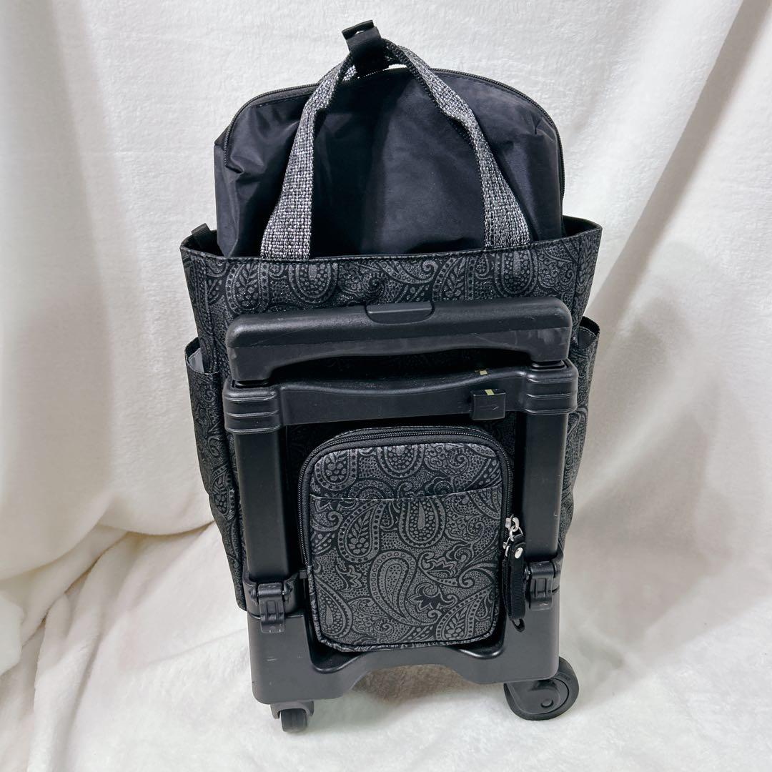 美品 SWANY スワニー キャリー バッグ ペイズリー柄 ストッパー付き 保冷