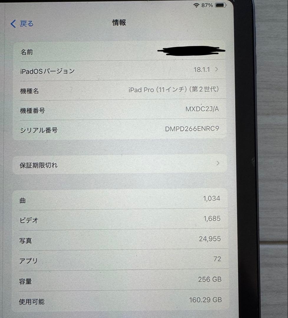 iPad Pro 11インチ 256GB第2世代　ペンシル付