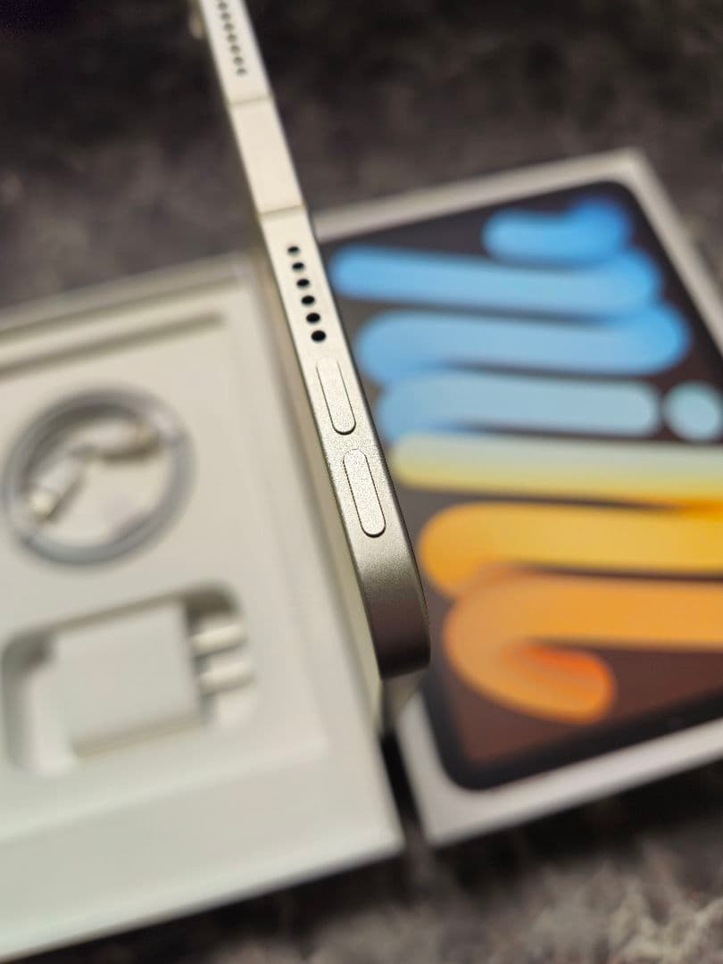 iPad mini（第6世代）Wi-Fi + Cellularモデル 256GB