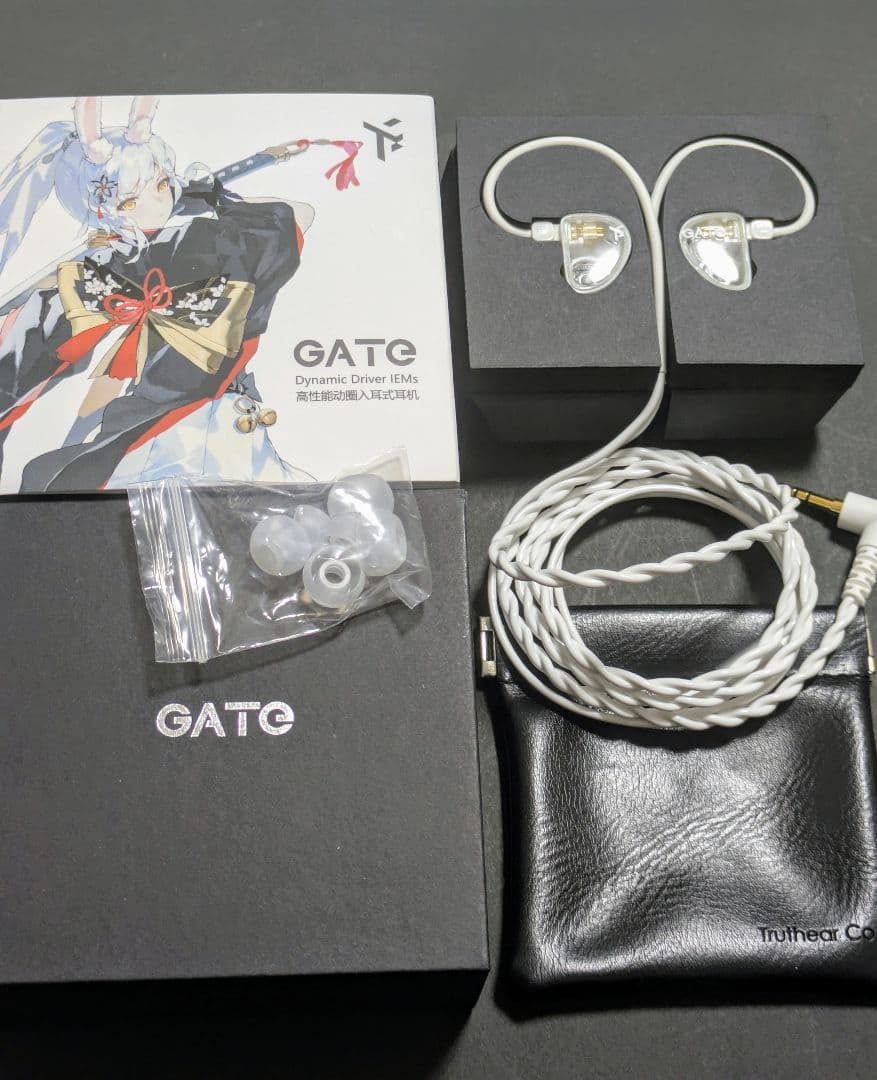 イヤモニ　有線イヤホン　リケーブル可能イヤホン　美品　DAC　清掃済　セット