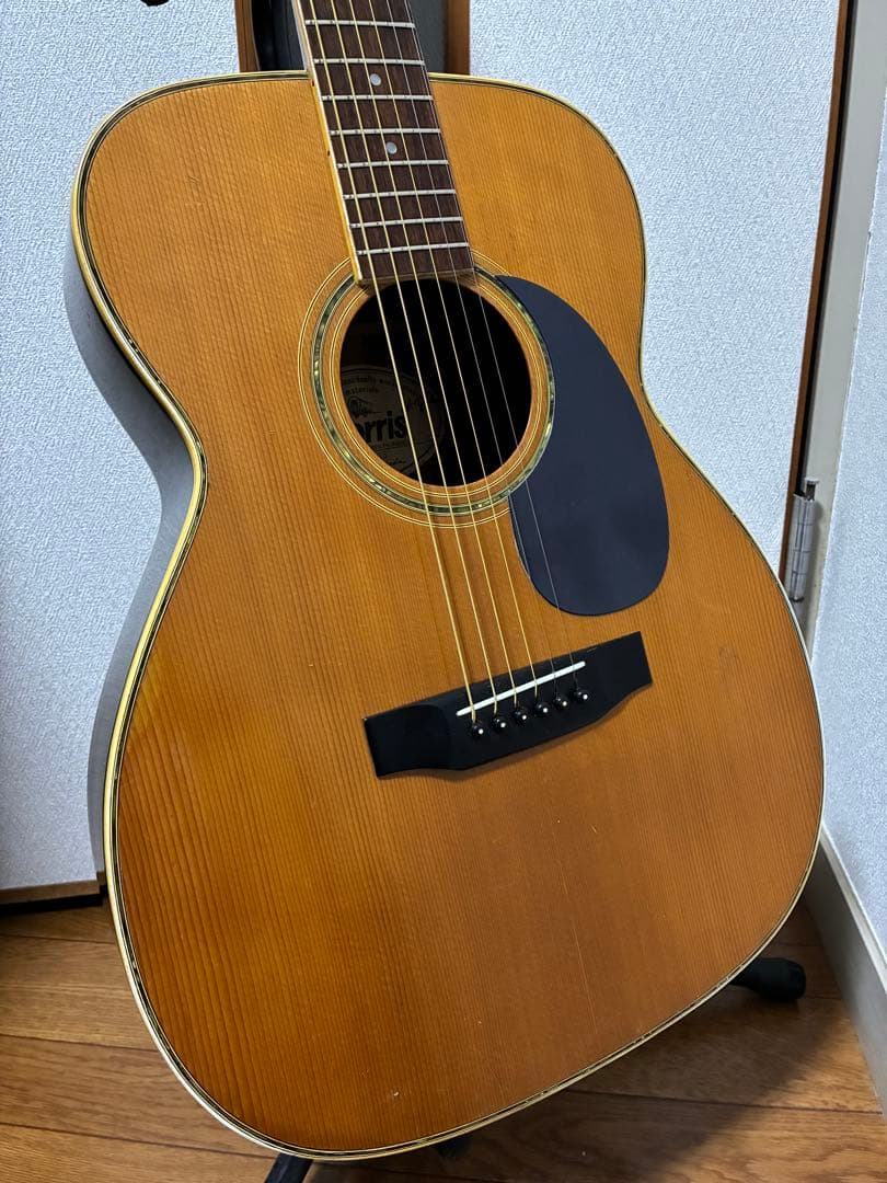 調整済 日本製 MORRIS(モーリス)F-25 アコースティックギター