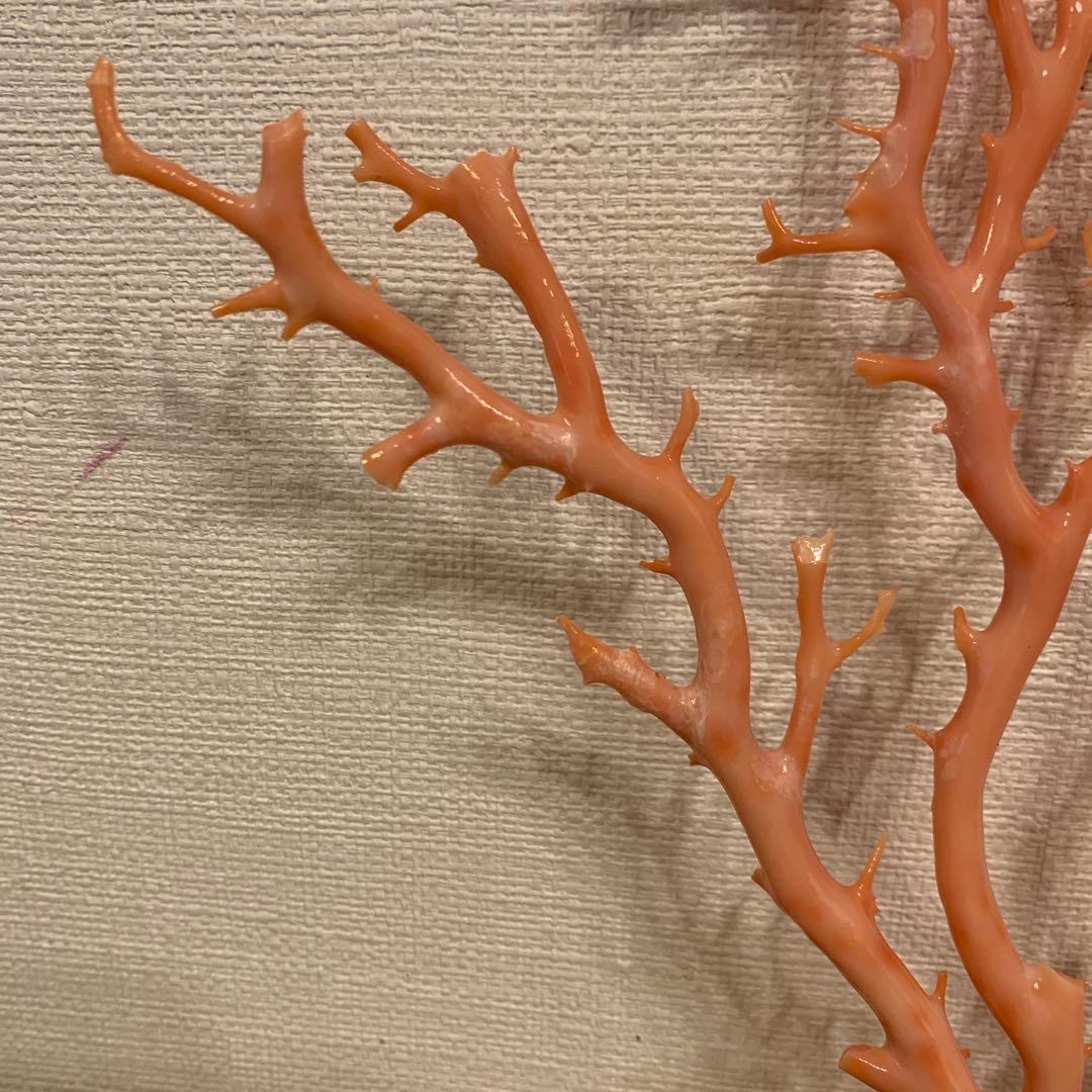 珊瑚　アンティーク　1体 縁起物　激安