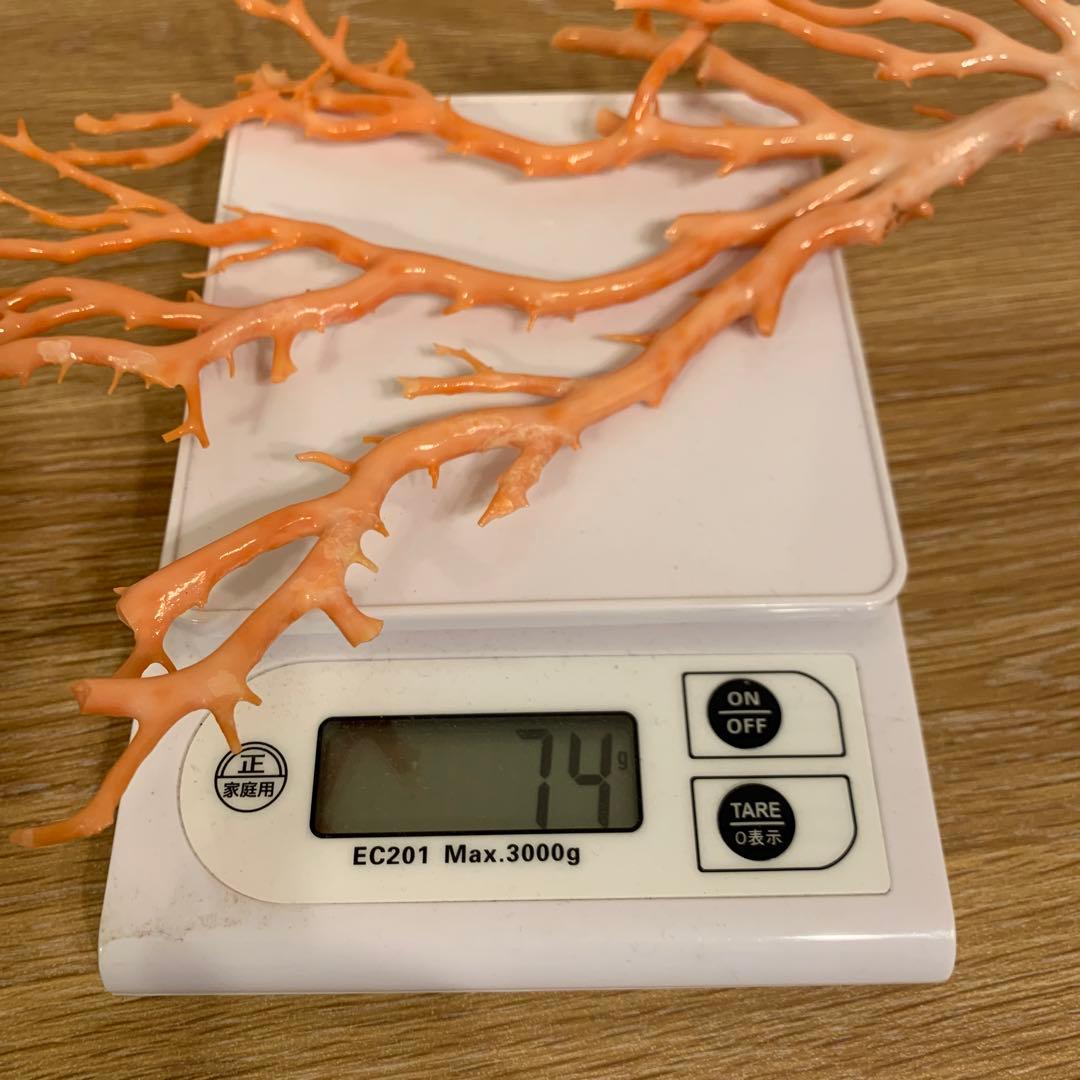 珊瑚　アンティーク　1体 縁起物　激安