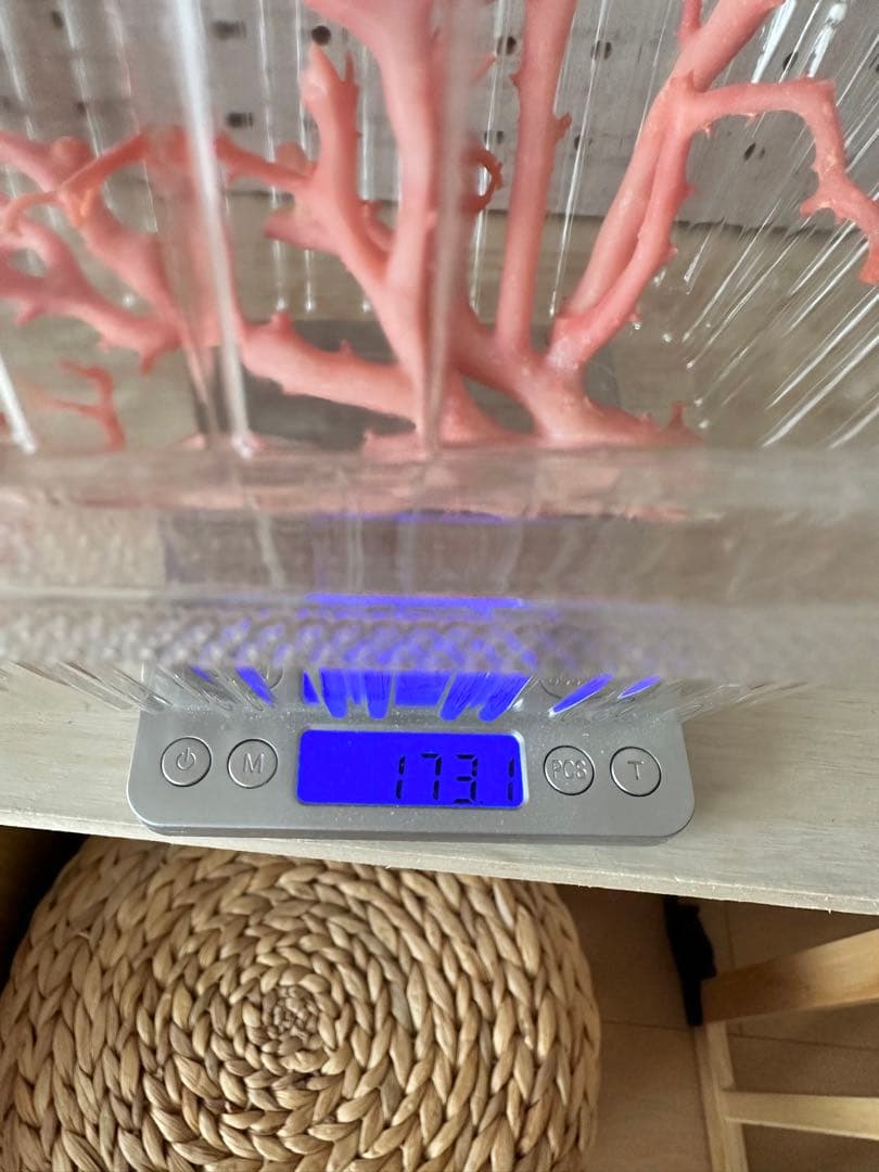 加工無し　ピンクサンゴ　桃珊瑚　原木