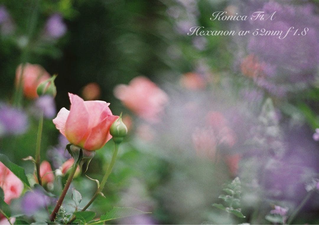 ★完動品＊美品★コニカfta／hexanon 52mm f1.8★初期保証