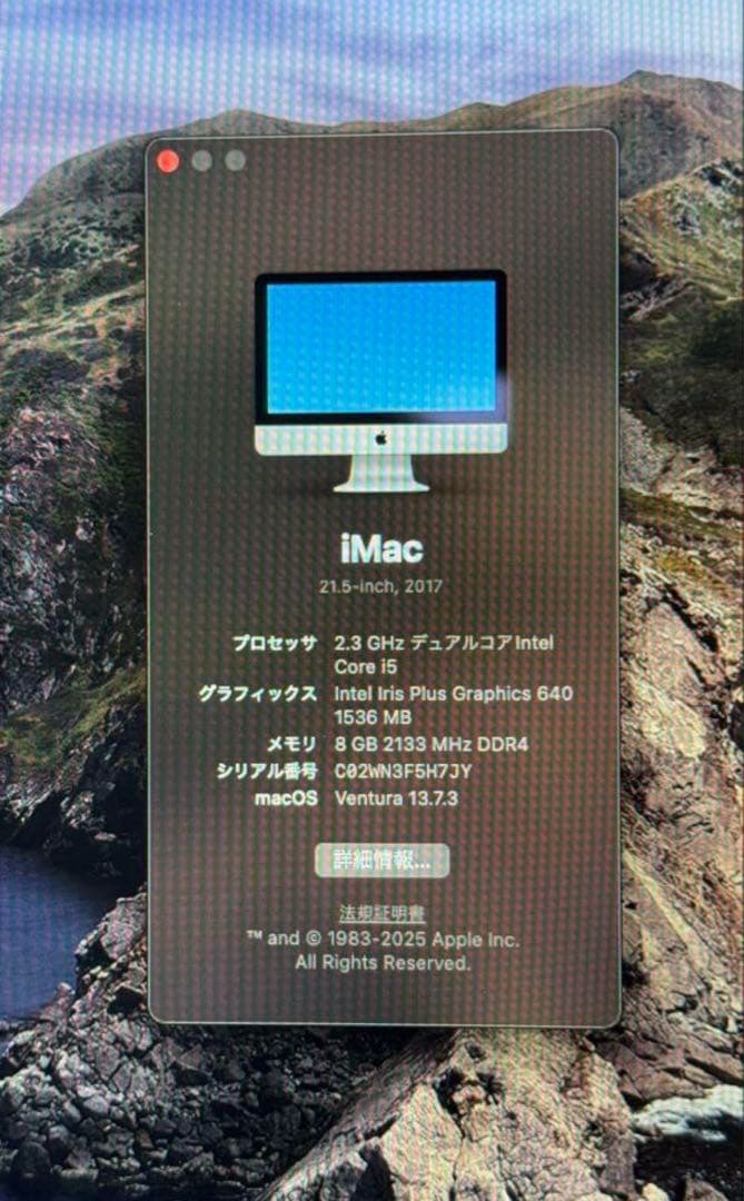 Apple iMac 21.5インチ 2017 純正キーボード・マウス付き