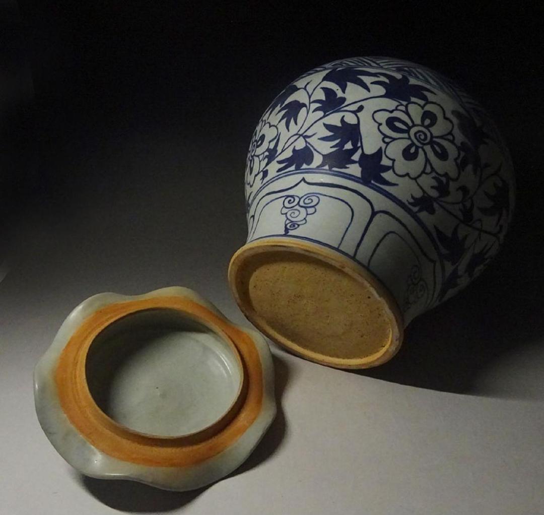 中国古玩 元染 魚藻文 蓋付壷 高約34cm 唐物 時代物 c11370