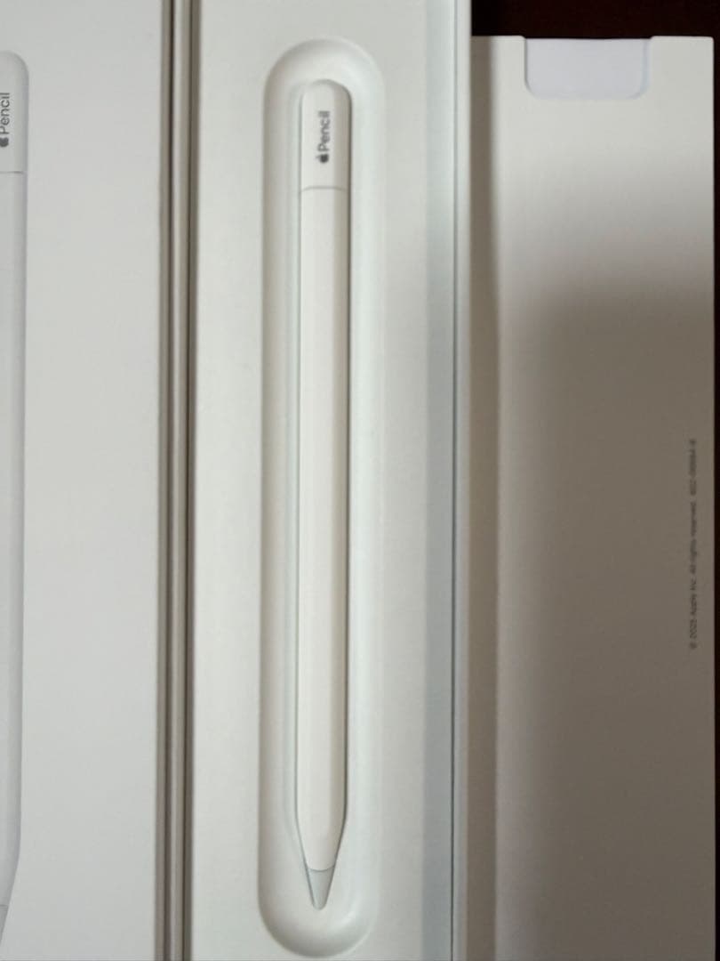 iPadアクセサリー Apple Pencil (USB-C)