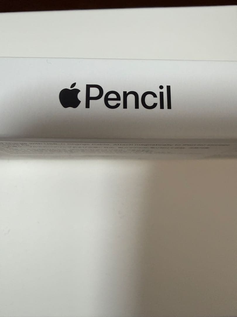 iPadアクセサリー Apple Pencil (USB-C)