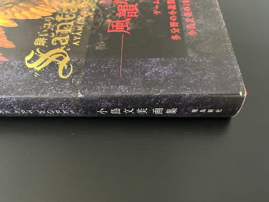 小島文美 画集 緋いユリ Santa Lilio Sangre