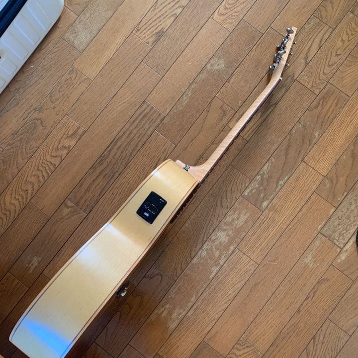 エレアコ　ギター seagull Amber Trail シーガル