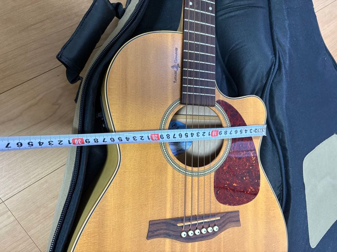 エレアコ　ギター seagull Amber Trail シーガル