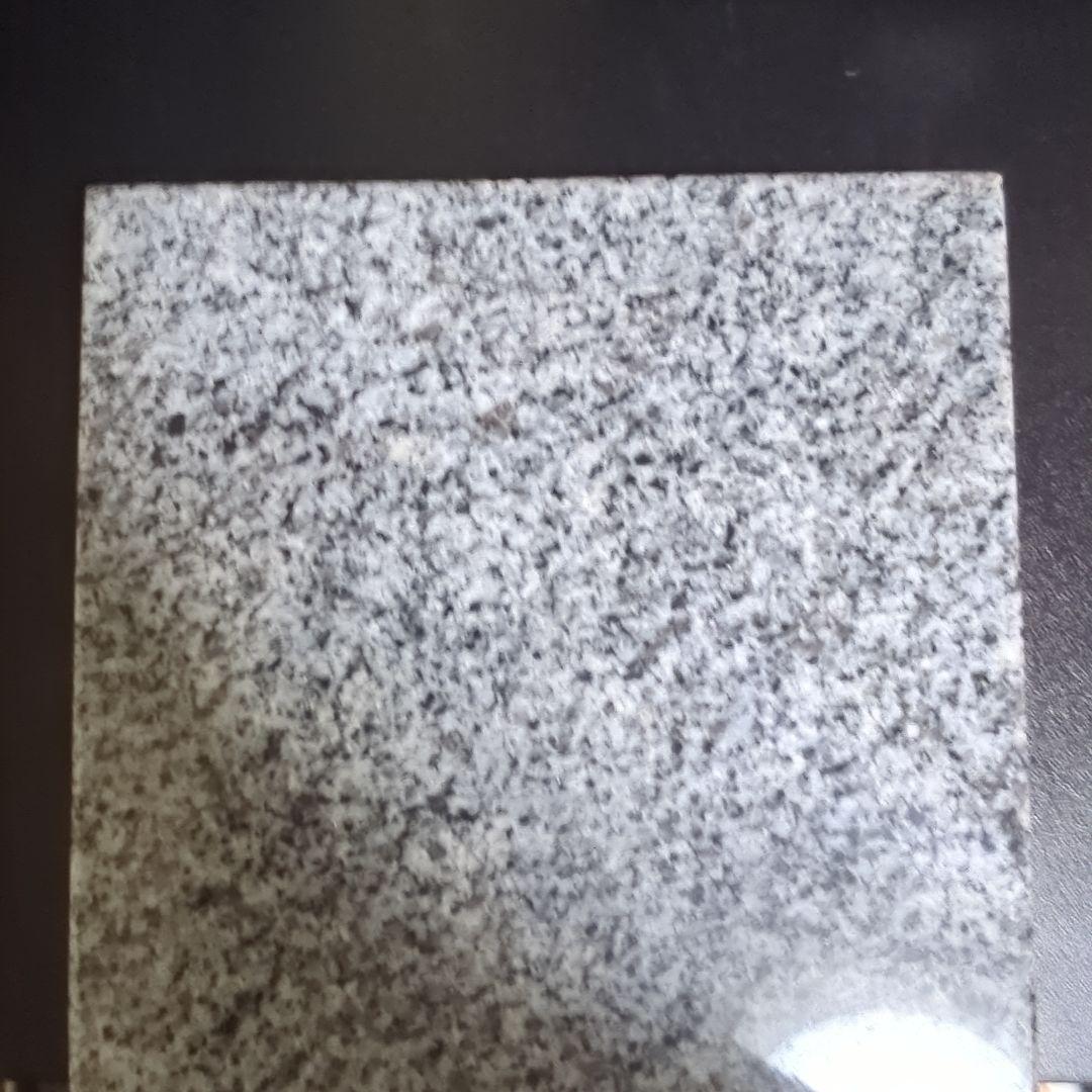 ELITE ES10 zonotone　オマケつき　polk