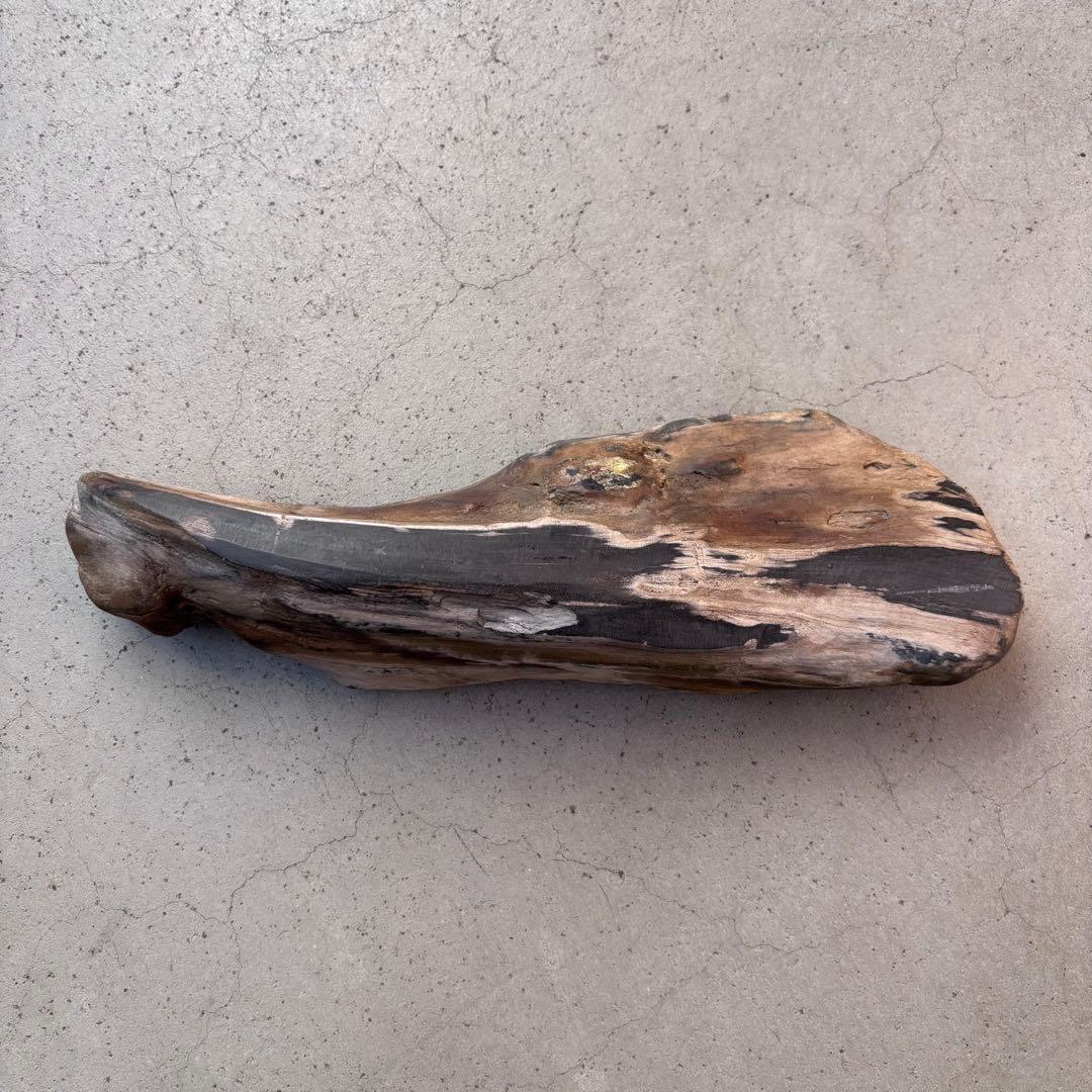 【週末限定SALE】珪化木（木の化石） ペトリファイドウッド
