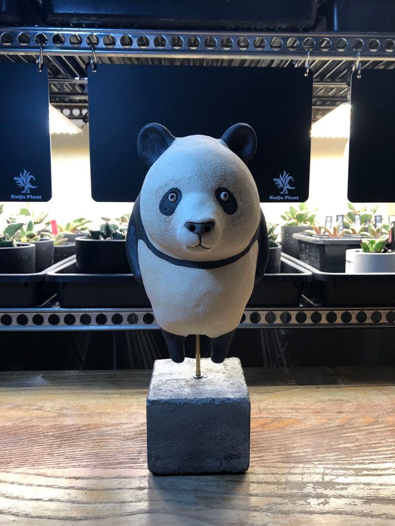陶仁　パンダ　一点物　置物
