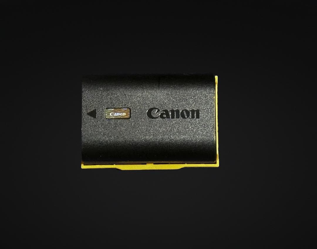 Canon EOS R6 mark2 ミラーレス一眼