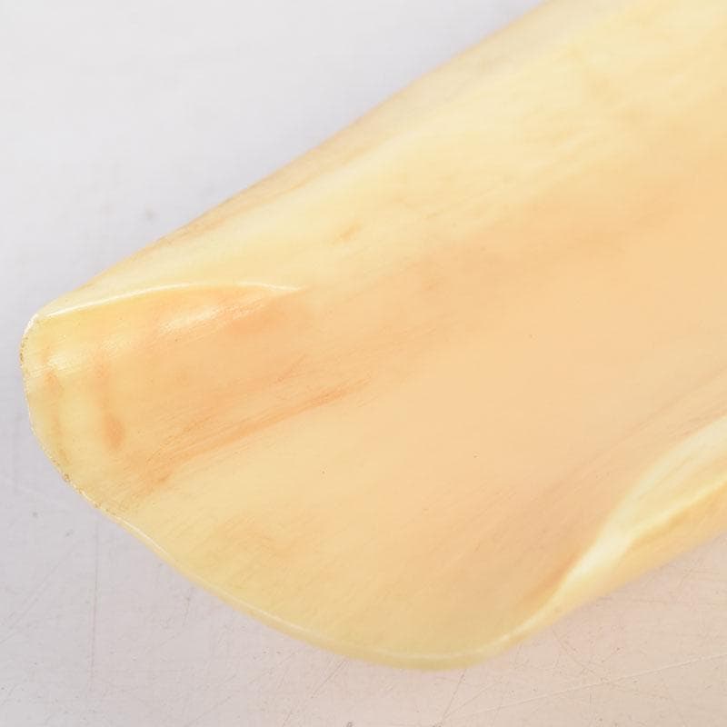 煎茶道具　熊野名産　マッコウクジラ　鯨歯彫刻　茶匙　茶合　共箱　D　9051