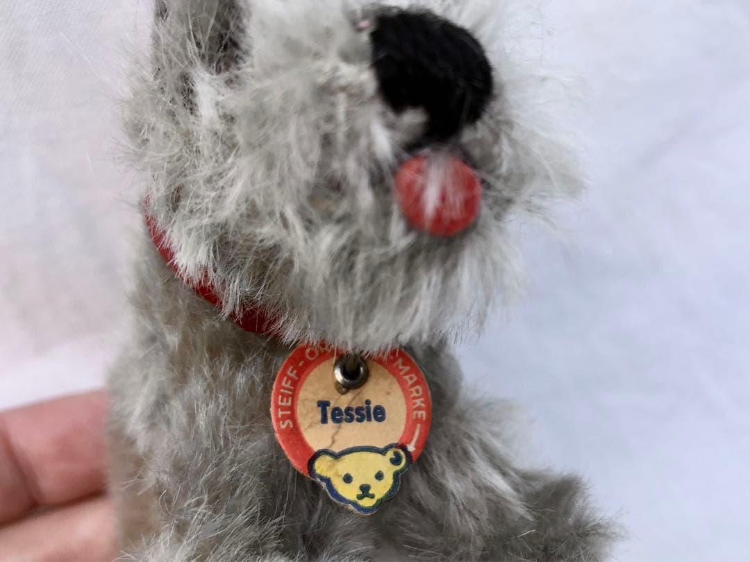 Steiff 　シュナウザーのTessi