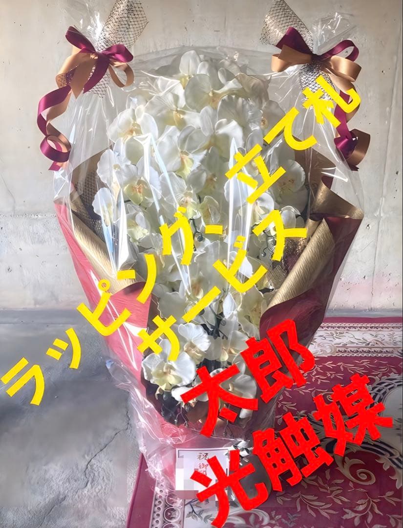 光触媒　人工観葉植物　ウォールグリーン　フェイクグリーン　胡蝶蘭１０本立て札付