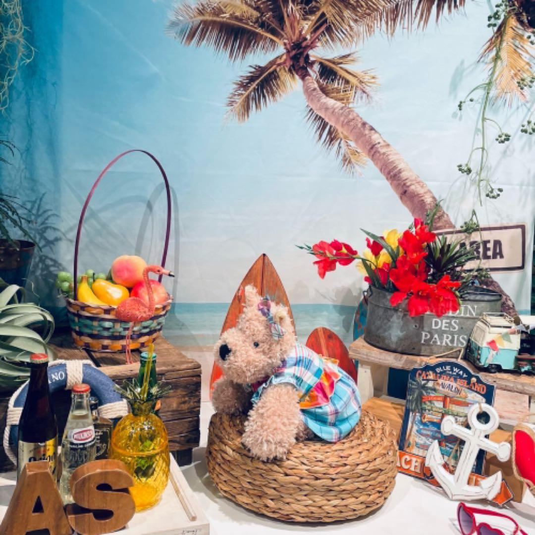 アズノウアズデワンasknowasdewan♡マドラスサマーバケーションset品