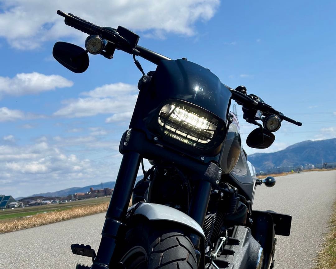 純正LEDウィンカーバレットターンシグナルインサートキット&スモークレンズ