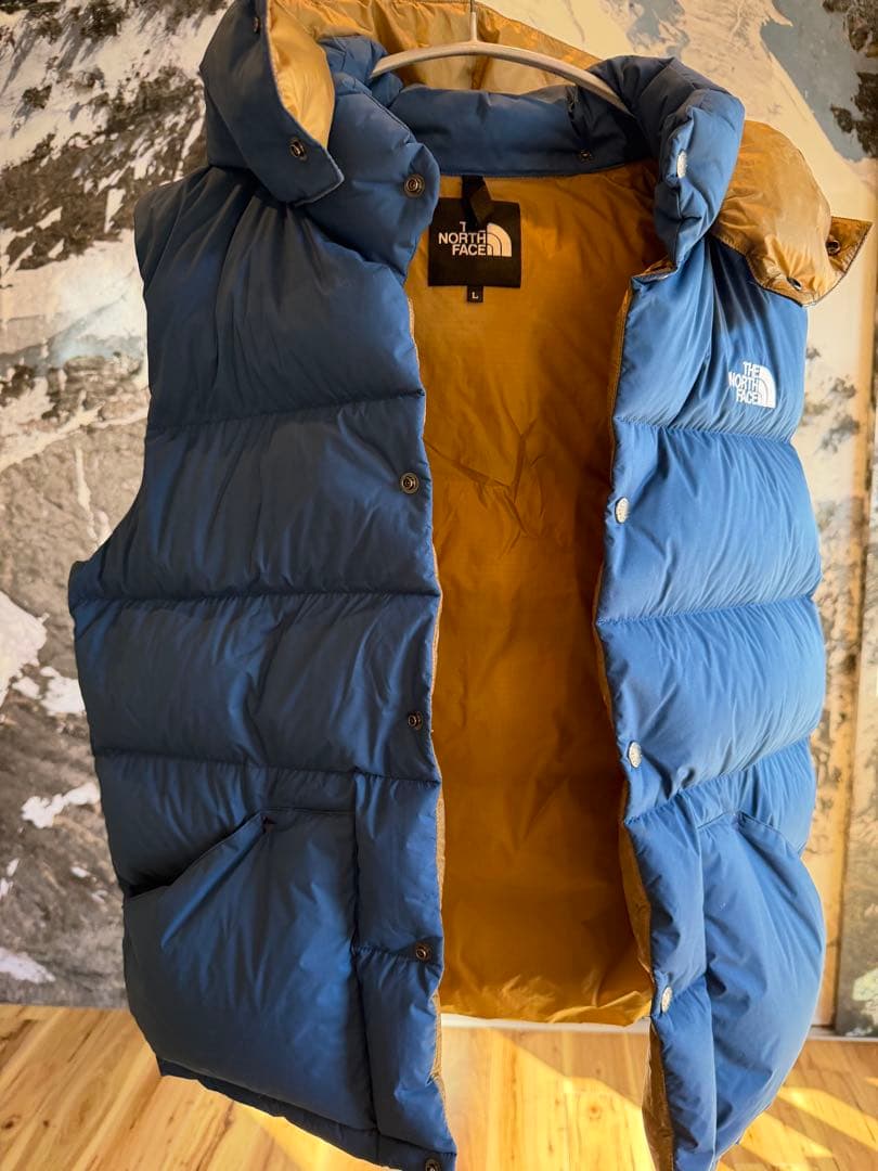 THE NORTH FACE ノースフェイス ダウンベスト メンズ L ブルー