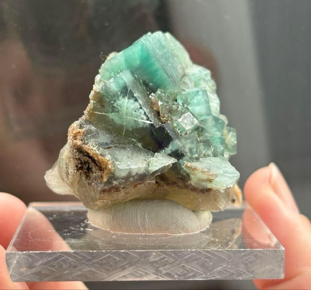 k*g様 レディアナベラ　toxic apple pocket フローライト　レ