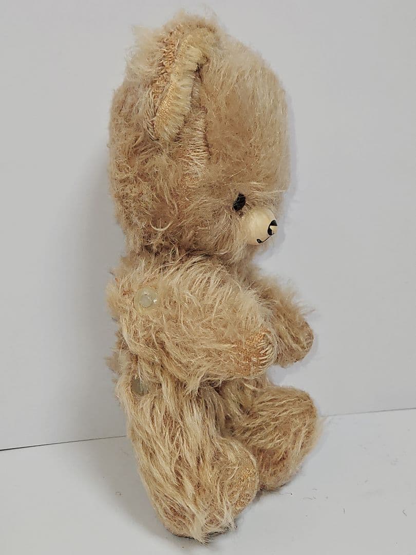 レア！ DDRベア テディベア 小ぶりなモフモフっ子 ʕ•ᴥ•ʔ