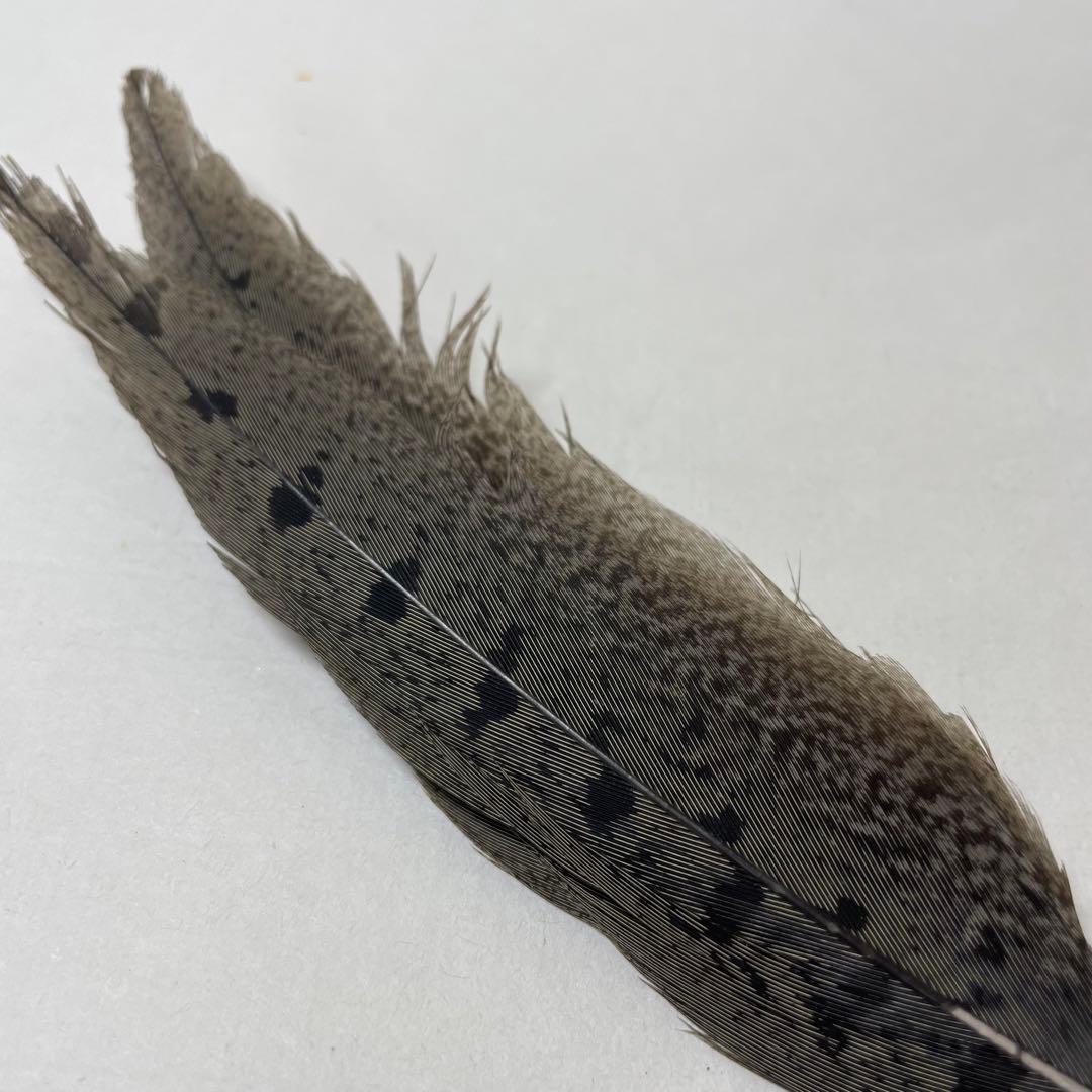 FD42⑦ 御羽掃(小:20cm) 期間限定セール中