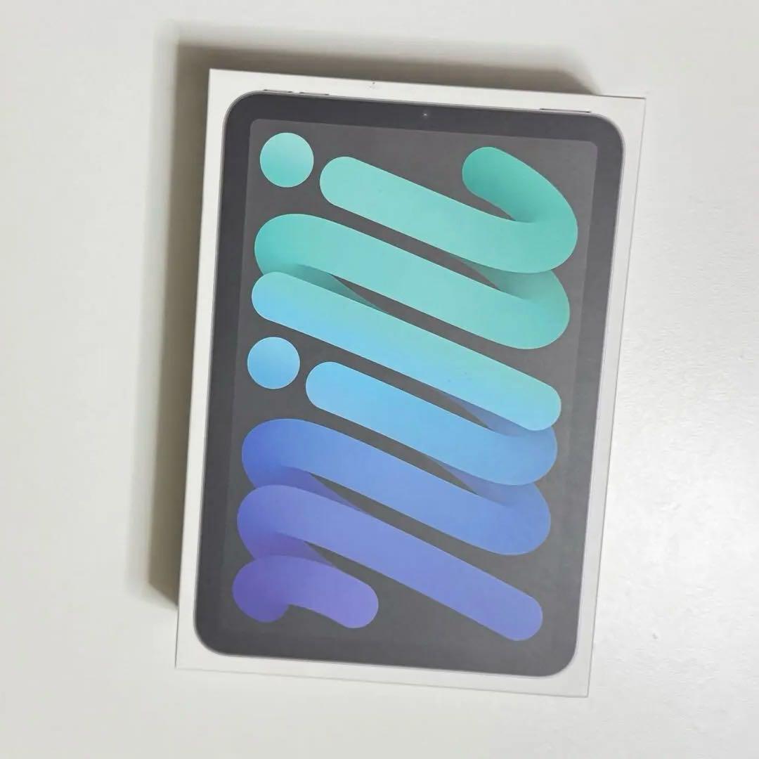 Apple iPad mini 6 スペースグレー 256GB 本体　外箱あり