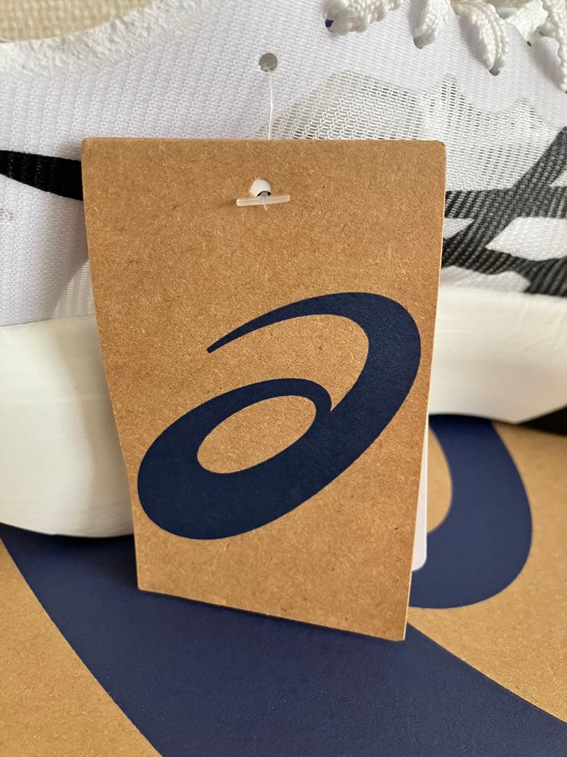 ★新色★アシックス メタスピードレイ SPEED RAY 27.5cm