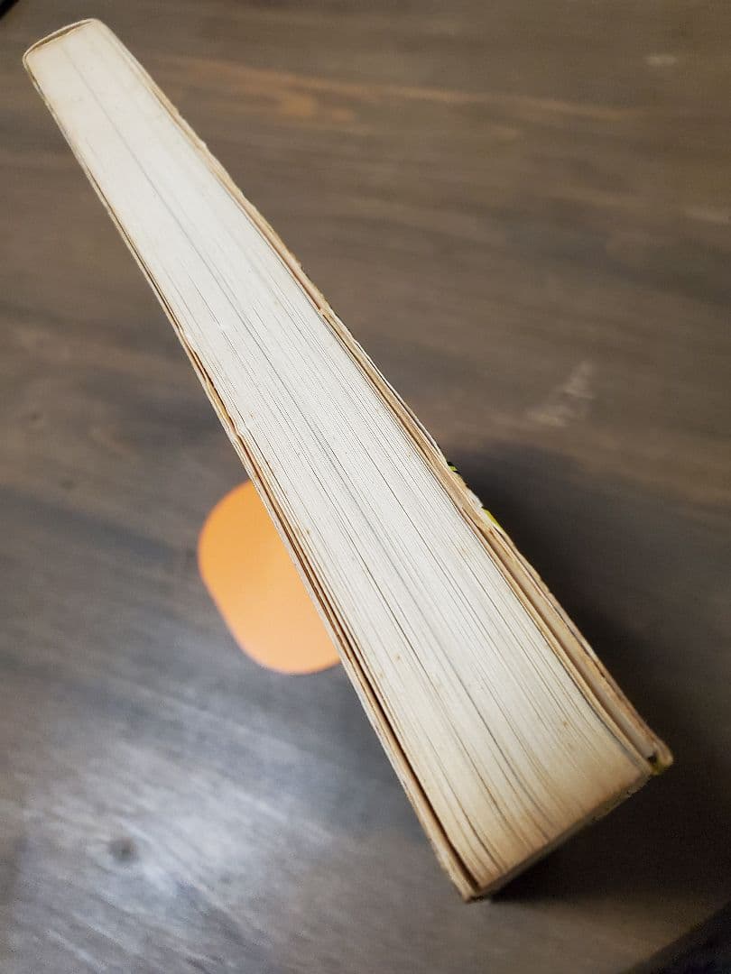 直野祥子集☆ブロンズ社