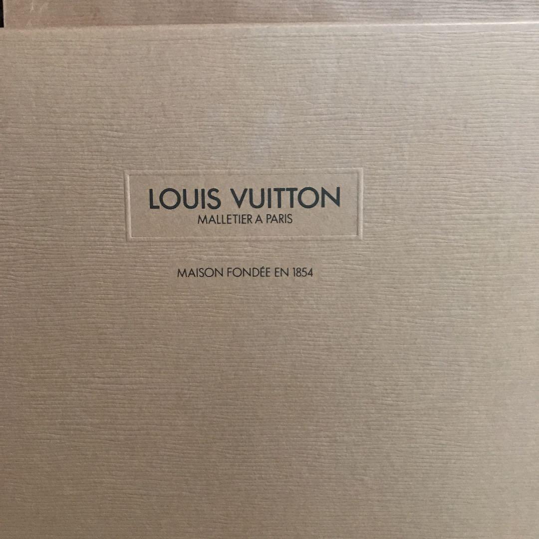 Louis Vuitton ショップ袋とケース　7個