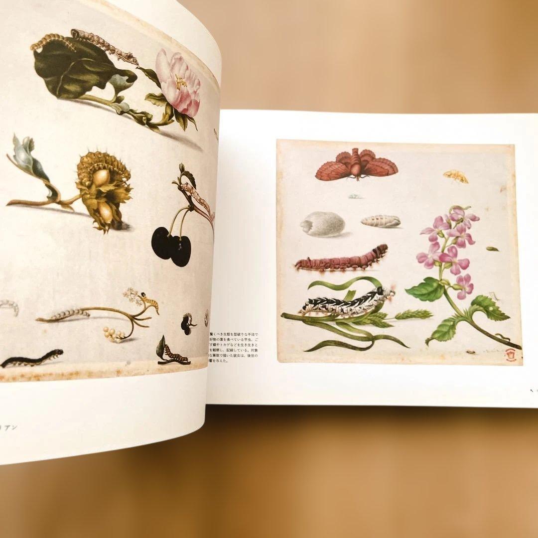 【短期出品です】冒険家たちのスケッチブック 発見と探検のリアル・グラフィックス