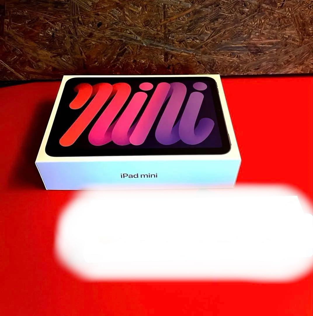 ＊刻印有り＊第7_iPad mini A17pro(care2027.1.9)