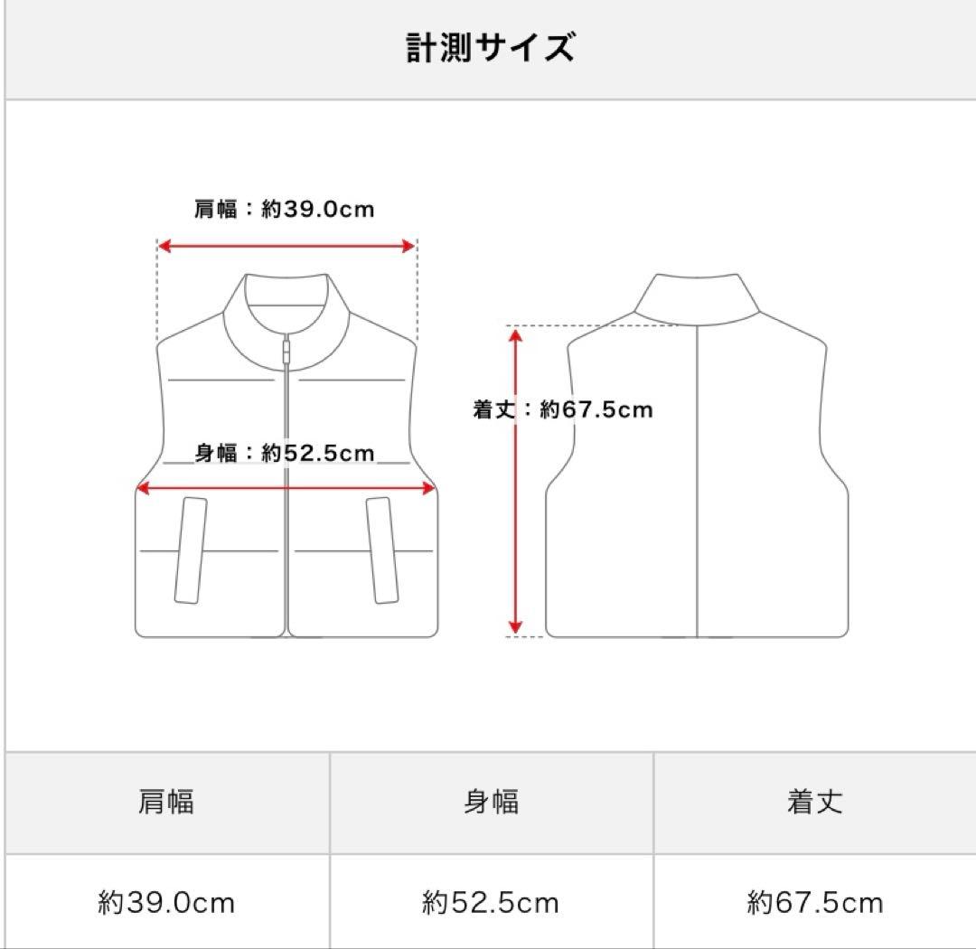 BACKBONE(バックボーン) レザー　ダウンベスト