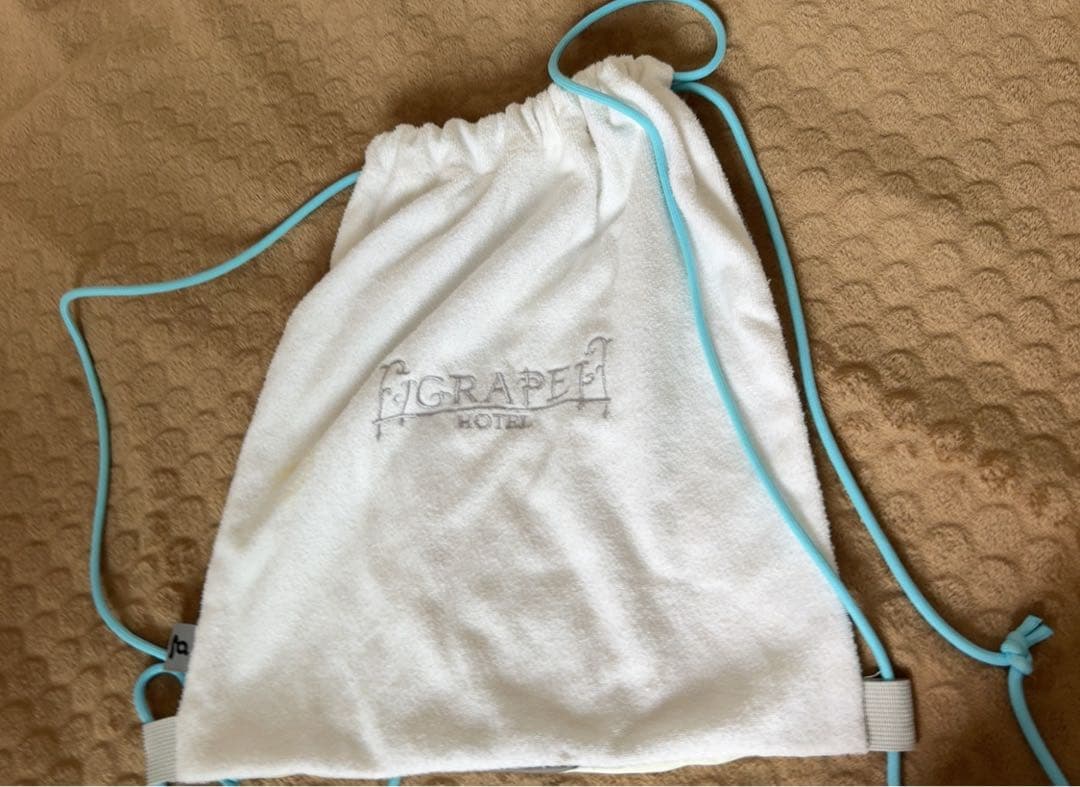 Grape hotel ss bag（公式完売／希少／レア）