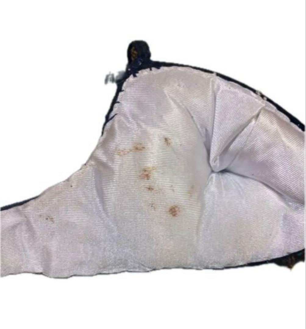 低身長さんに　ベリーダンス 衣装　豪華