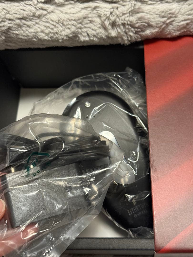 ESTHETWIN B-2000 美顔器 ボディメイク 痩身