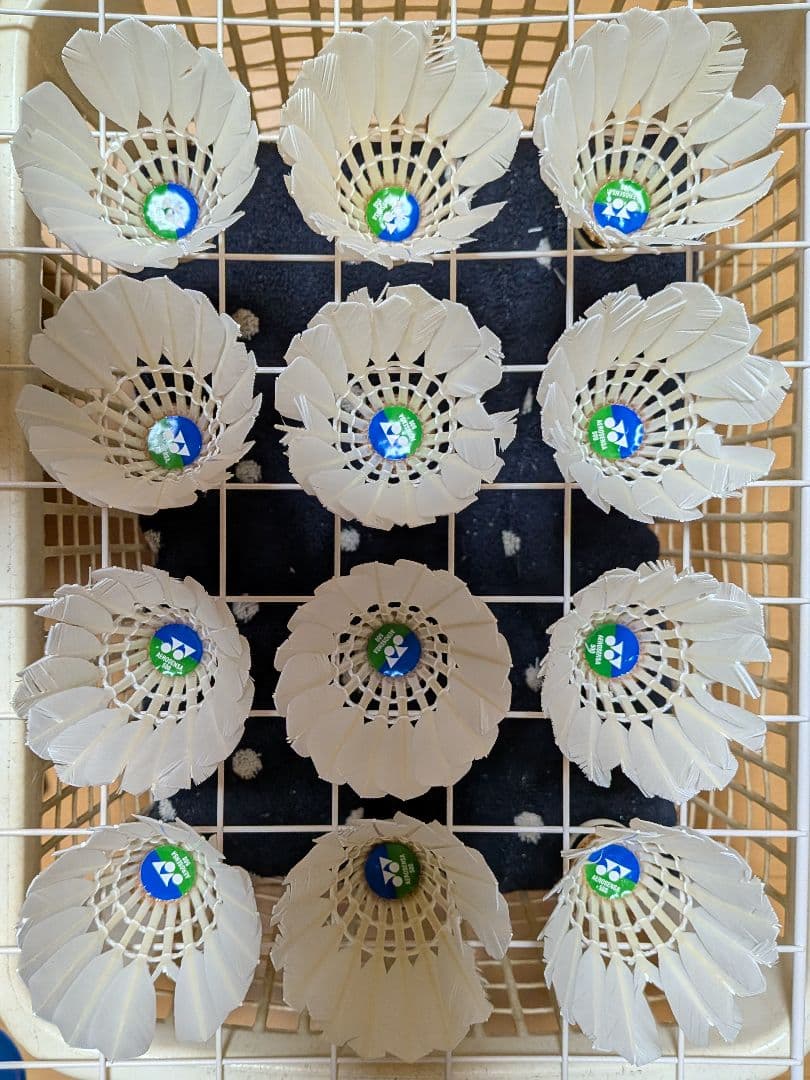 バドミントン中古シャトル120球