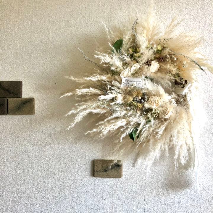 パンパスリース