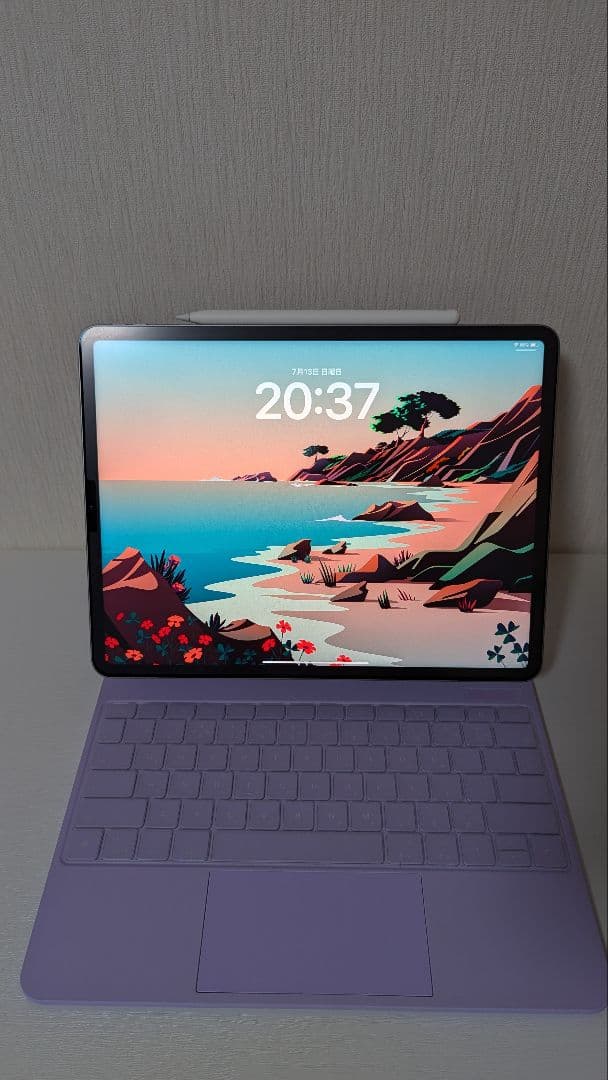 iPad Pro12.9 第6世代　hidemonさん用