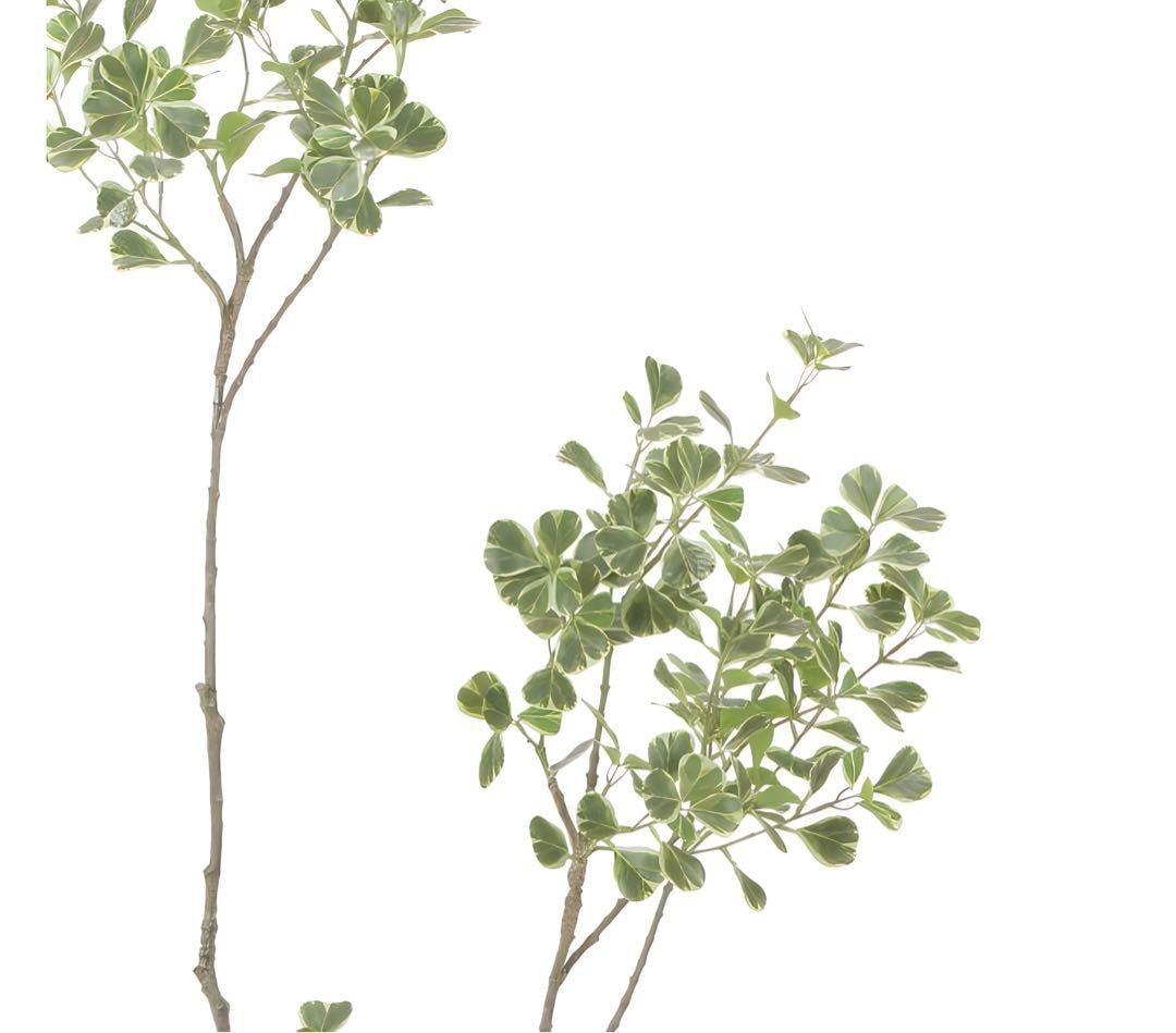 光触媒　人工観葉植物　フェイクグリーン　スリムフィカストライアングル