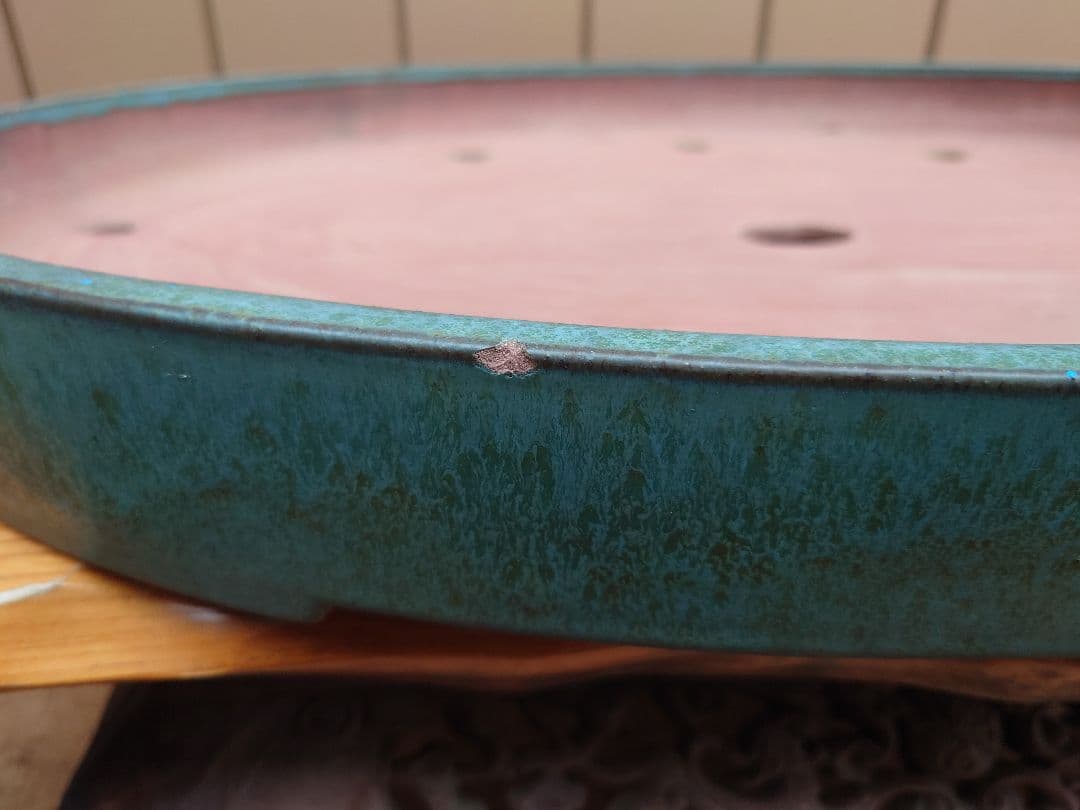 特大鉢　緑巳斎春松　幅70cm