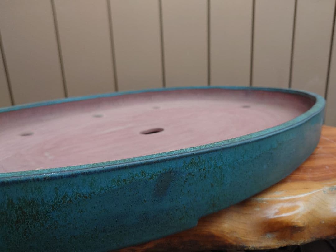 特大鉢　緑巳斎春松　幅70cm