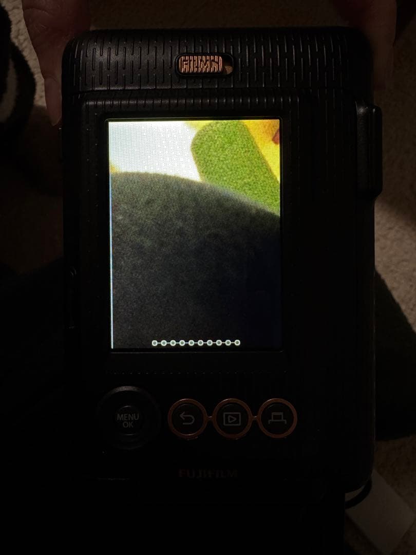 FUJI FILM INSTAX MINI LIPLAY チェキ