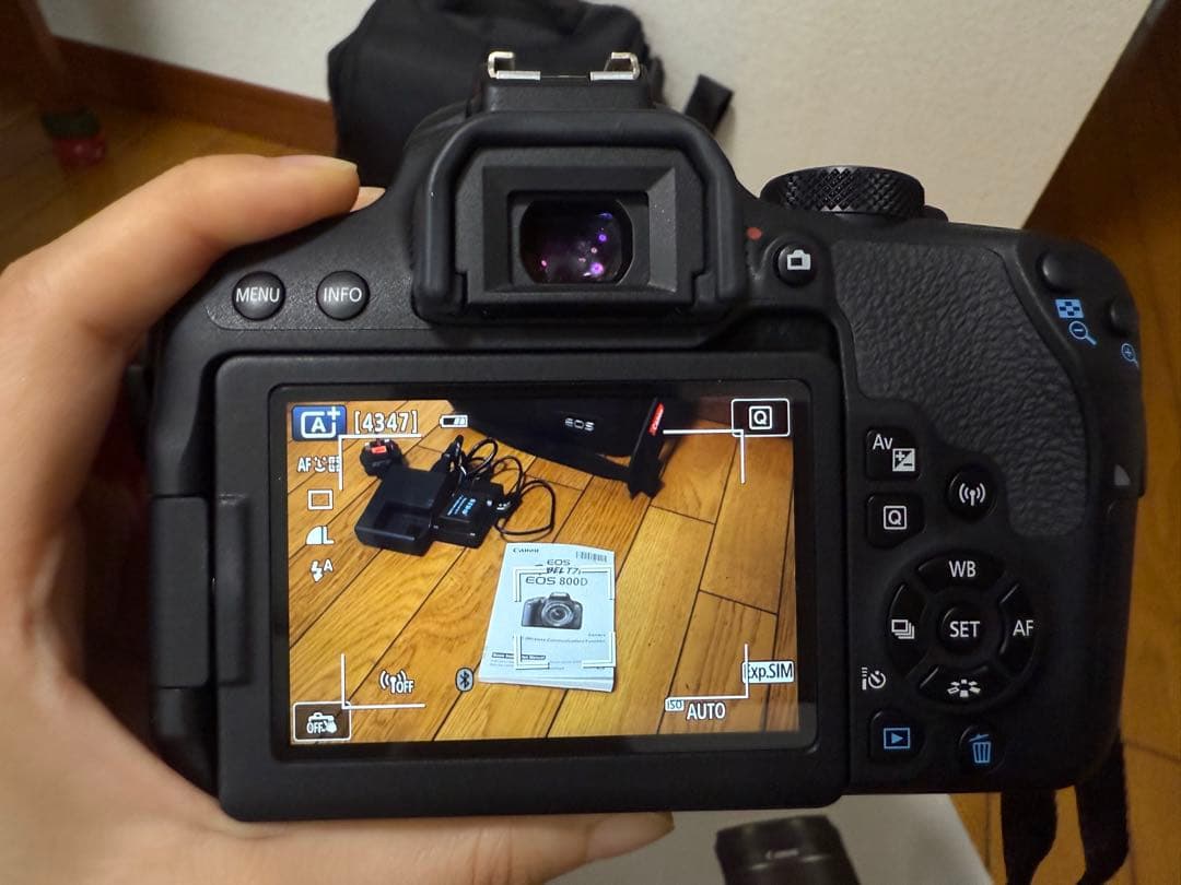 【美品】Canon EOS 800D（海外版）☆シャッター回数わずか1331回