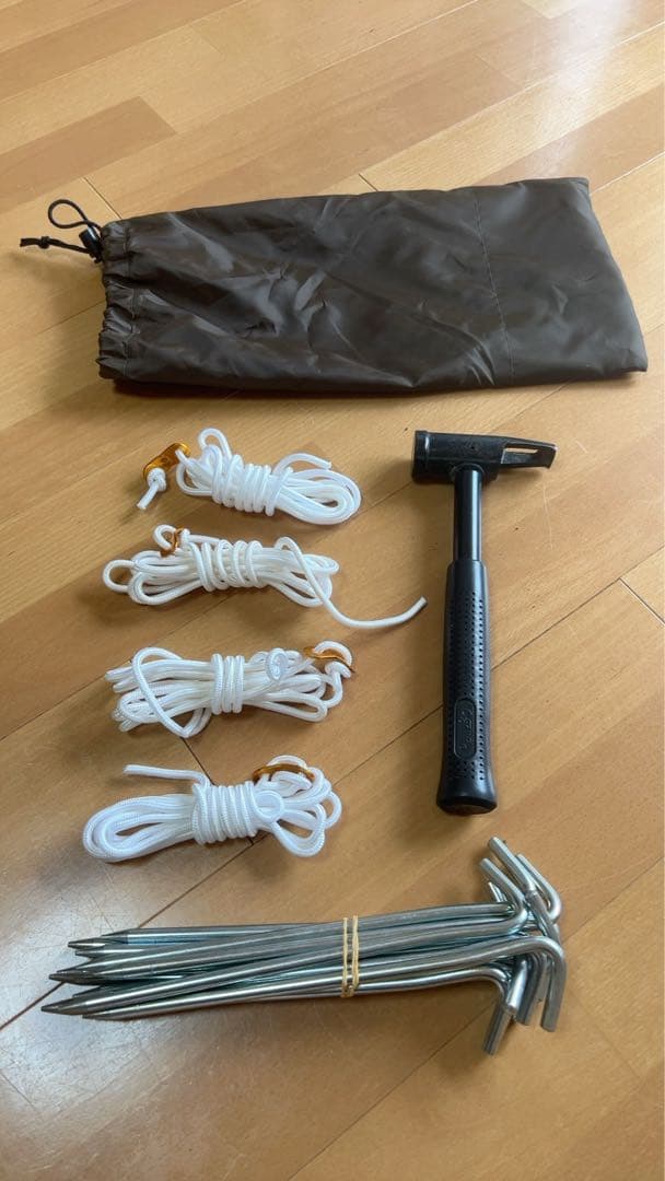 ogawa Vigas-Ⅱ(ヴィガス2)